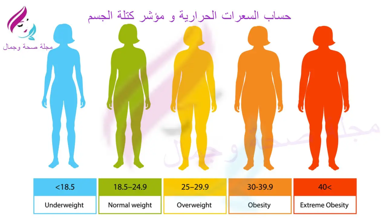 إليك حاسبة السعرات الحرارية و مؤشر كتلة الجسم - مجلة صحة و ...