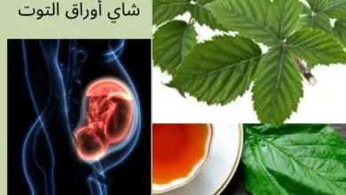 Photo of شاي أوراق التوت الأحمر: الحمل ، الفوائد والآثار الجانبية